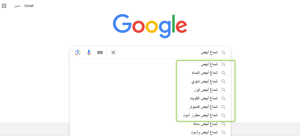 الإكمال التلقائي من جوجل google autocomplete