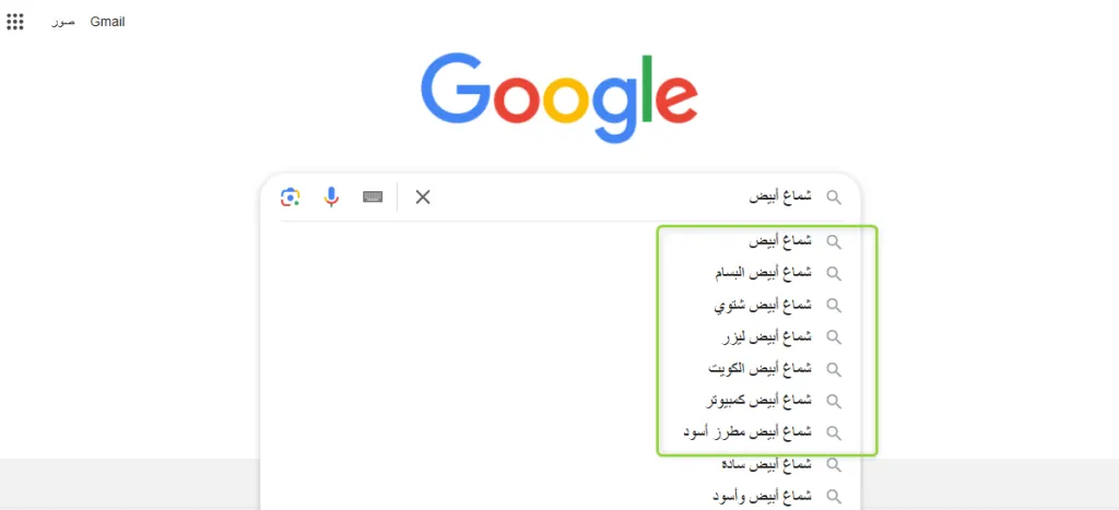 الإكمال التلقائي من جوجل google autocomplete